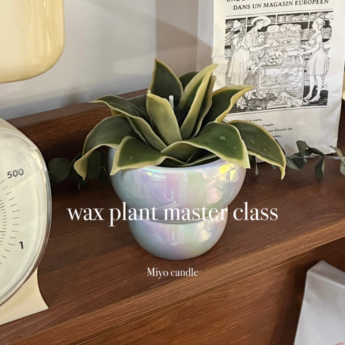 CLAB wax plant master class