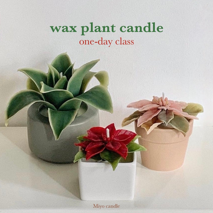 wax plant candle one-day class