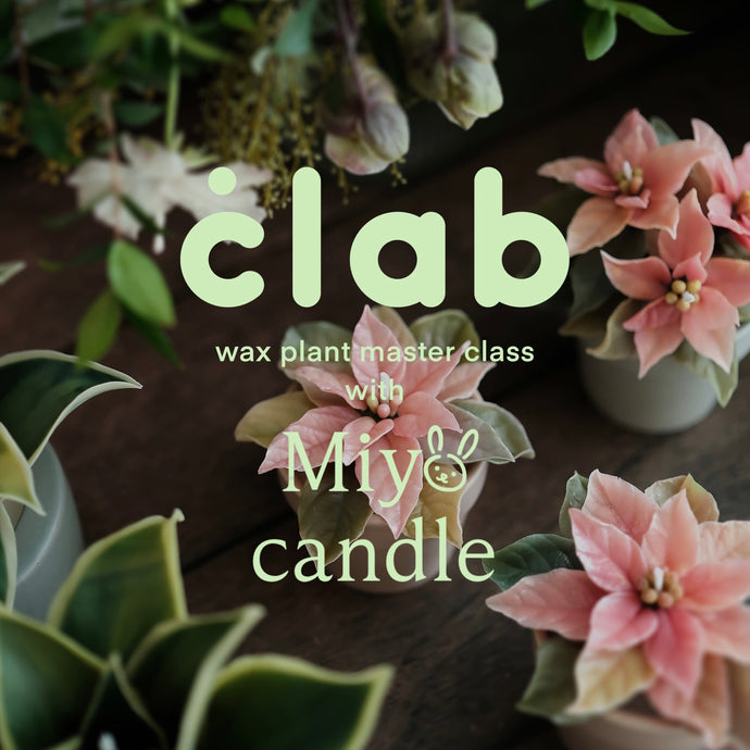 CLAB wax plant master class